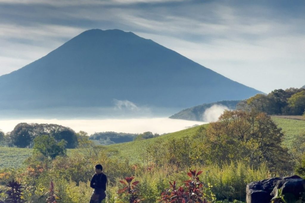 シグチ　ミシュランキー　ホテル