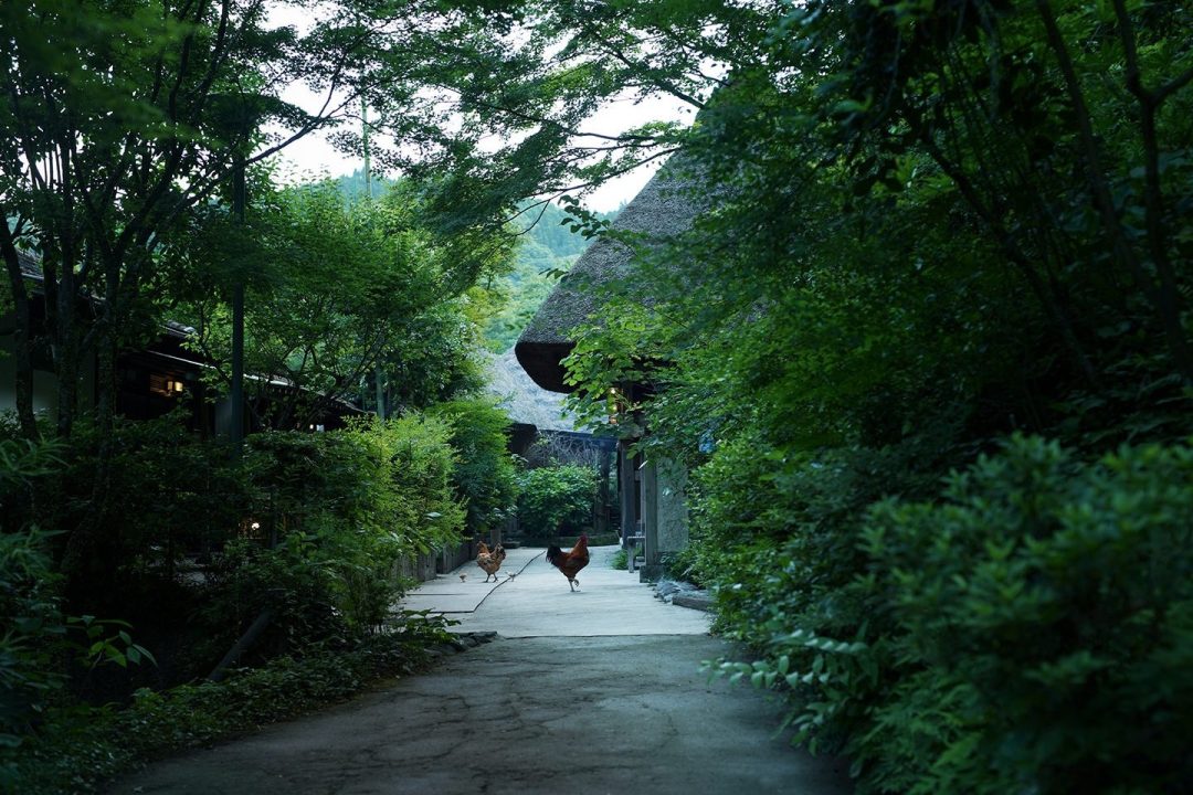 忘れの里 雅叙苑　ミシュランキー　ホテル